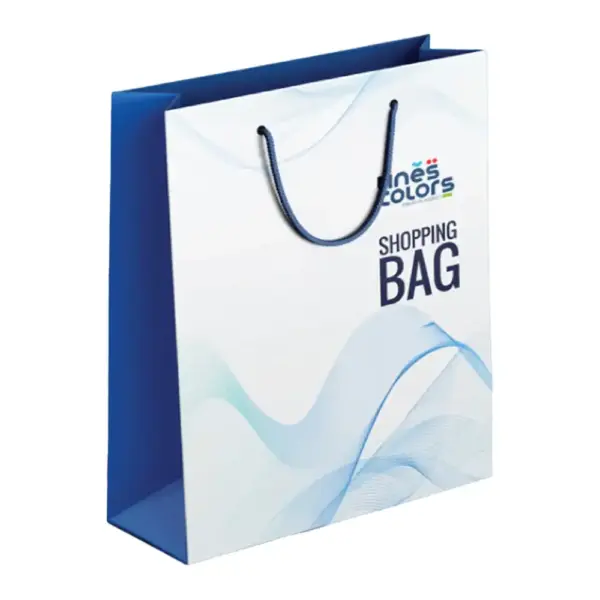 Laminated Cardboard Bag – 20×11.3×5 cm X3335 11320