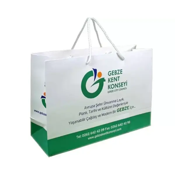 Laminated Cardboard Bag – 40x30x10 cm X452 3040