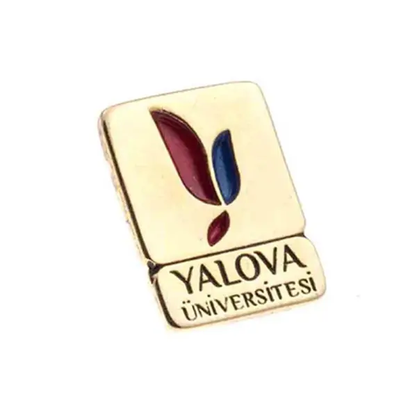 3D Enamel Lapel Pins 2 Color RZ 1813