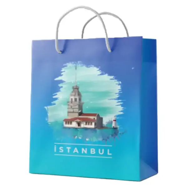 Laminated Cardboard Bag – 26x20x9 cm X45 2026