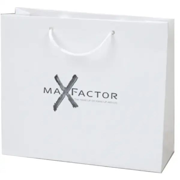 Laminated Cardboard Bag – 23x18x11.5 cm X 331823