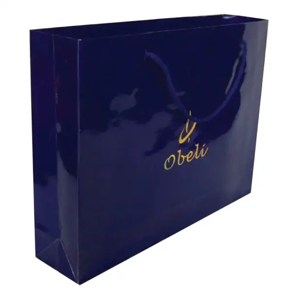Laminated Cardboard Bag – 25x36x8 cm X352 3625